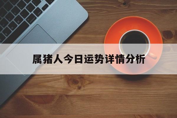 属猪人今日运势详情分析