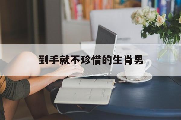 到手就不珍惜的生肖男
