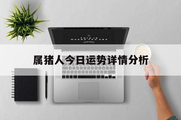 属猪人今日运势详情分析