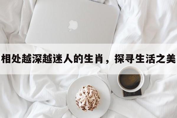 相处越深越迷人的生肖，探寻生活之美