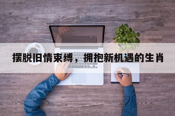 摆脱旧情束缚，拥抱新机遇的生肖