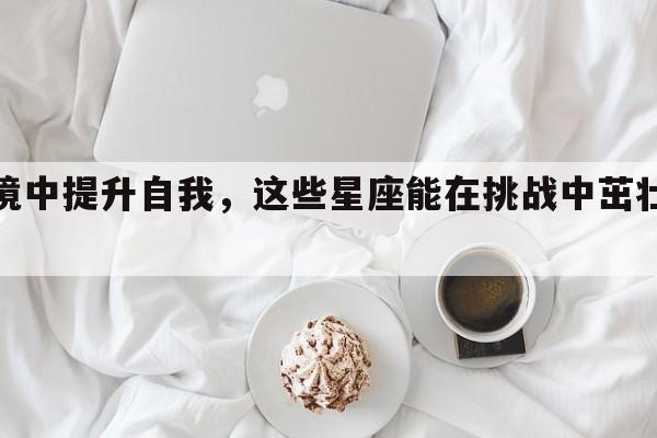 逆境中提升自我，这些星座能在挑战中茁壮成长