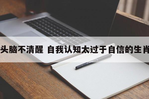 头脑不清醒 自我认知太过于自信的生肖